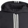 Adidas Originals Trefoil Winter Hacked Hoodie With Three-Stripe Color Block Men Hoodie Black IP9485