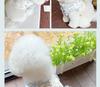 Adorable Ice Silk Fluffy Pet Dress for Dogs and Cats