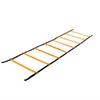 Agility Training Ladder