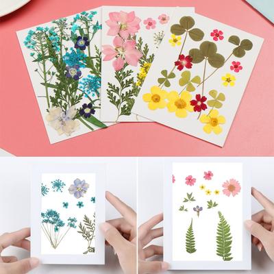 Acessórios Joias Fabricação Adesivos Flores Secas Preenchedor de Resina Decalque de Beleza Preenchimento de Molde de Resina Flor