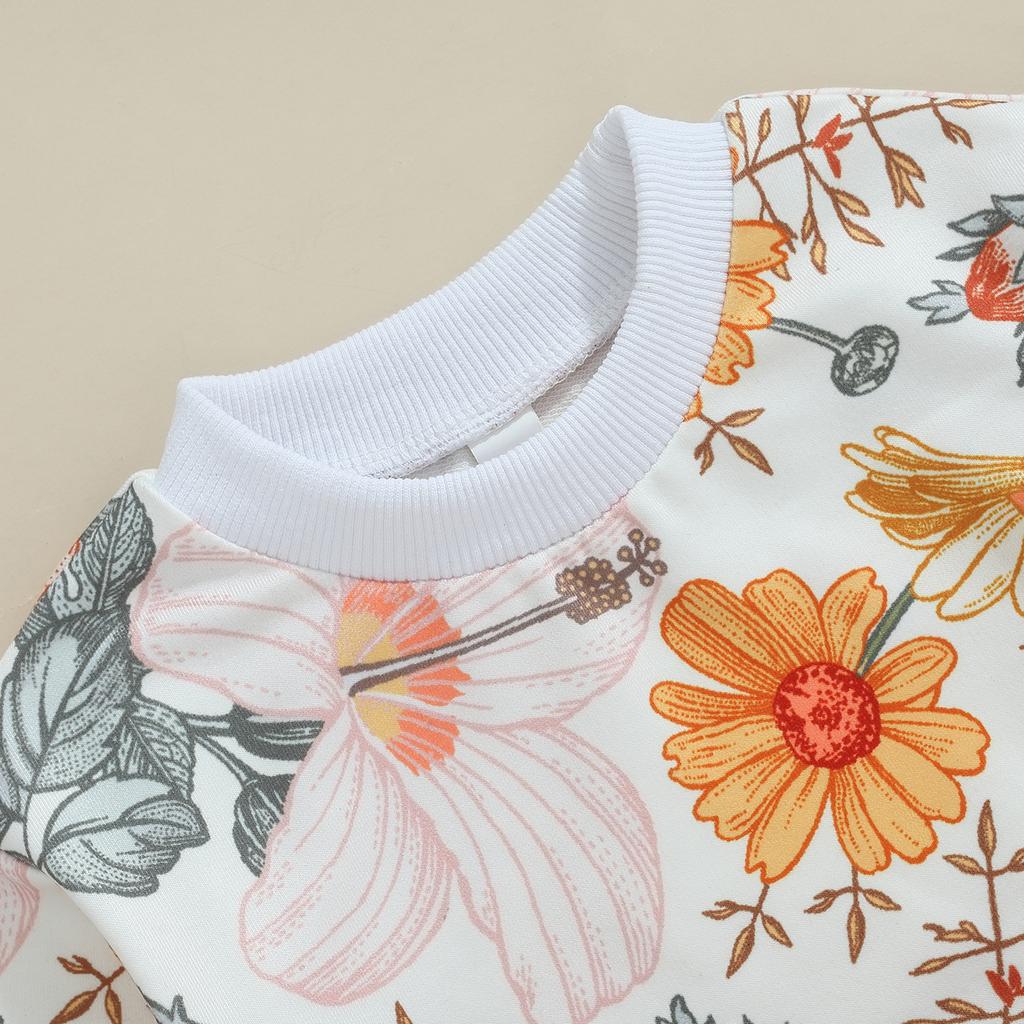 Toddler Girls Fall Outfits Floral Print Long Sleeve Sweatshirt and Elastic Sweatpants Set Baby Cute 2 Piece Clothes