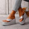 Fashion Gold Silver Chunky Platform Sandals Fashion Women's Summer Clip Toe Wedges Heel Slippers Size 36-43 Sandalias De Mujer