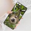 Baby Sloth Phone Case For Samsung Galaxy S25 S23 S30 S8 S21 S20 FE S24 S22 Note 10 20 S8 Plus lite Ultra