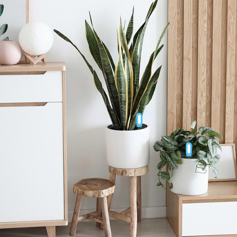 Tuya Smart Soil Tester, Bluetooth Temperature and Humidity Sensor Mobile App Real-time Monitoring of Garden Plants