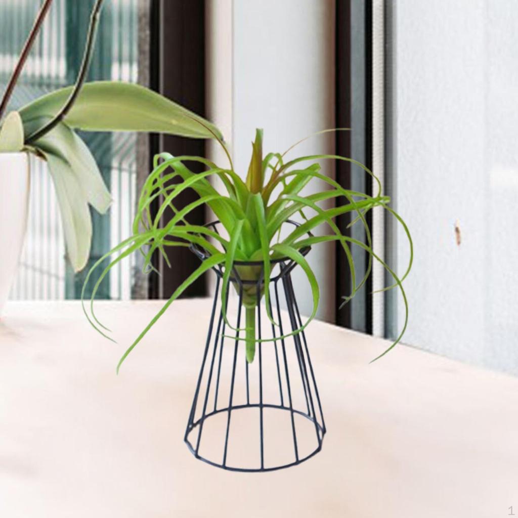 Halter für Luftpflanzen, Ständer für Feiern und Zusammenkünfte