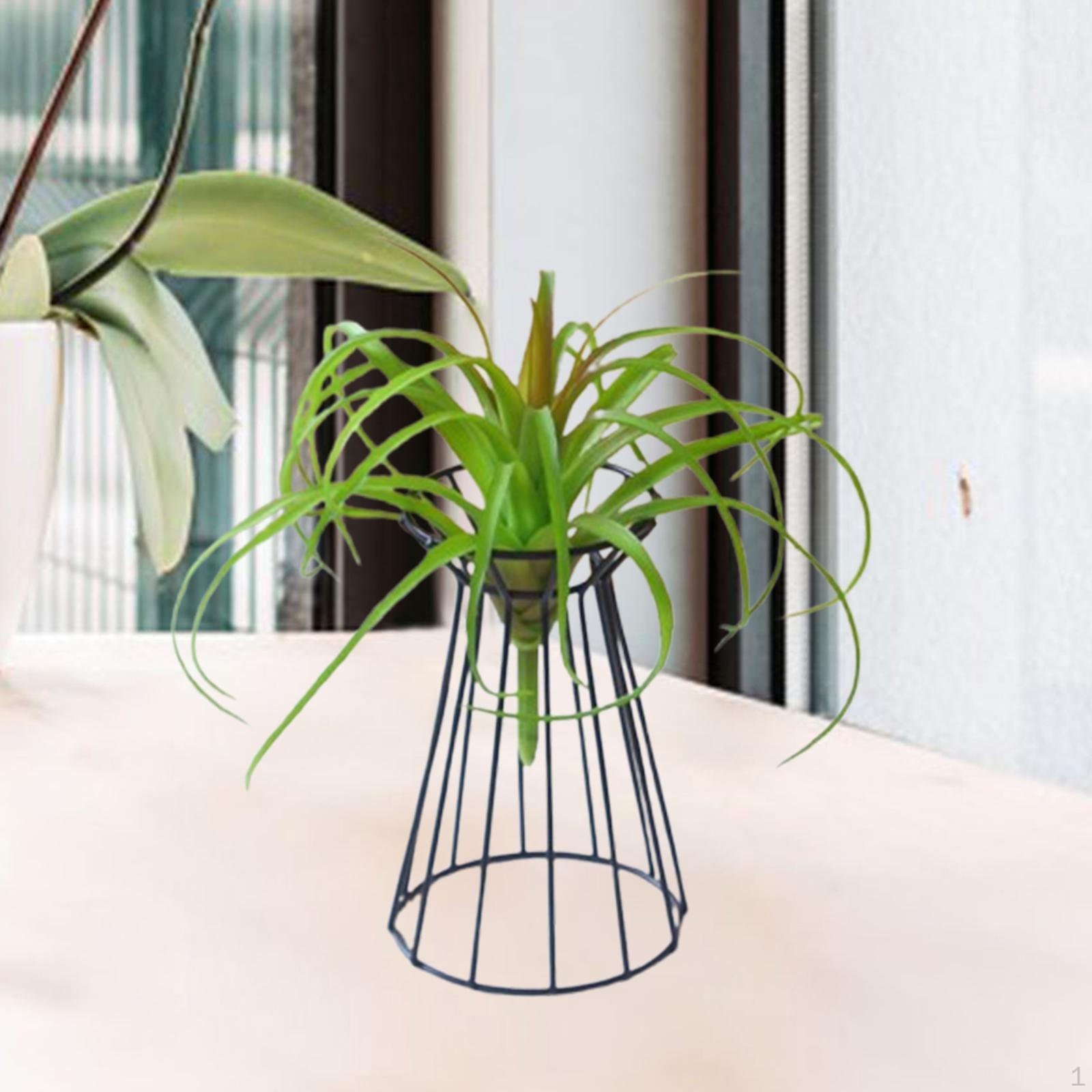 

Держатель для воздушных растений, стенд для торжеств и собраний чёрный