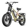 EAhora Terra II Black/Green/Blue 750W * 2 Dual Motor 48V20AH Detachable Battery 20 * 4.0-inch Tire Ximano 7-speed Urban Road Electric Bicycle
