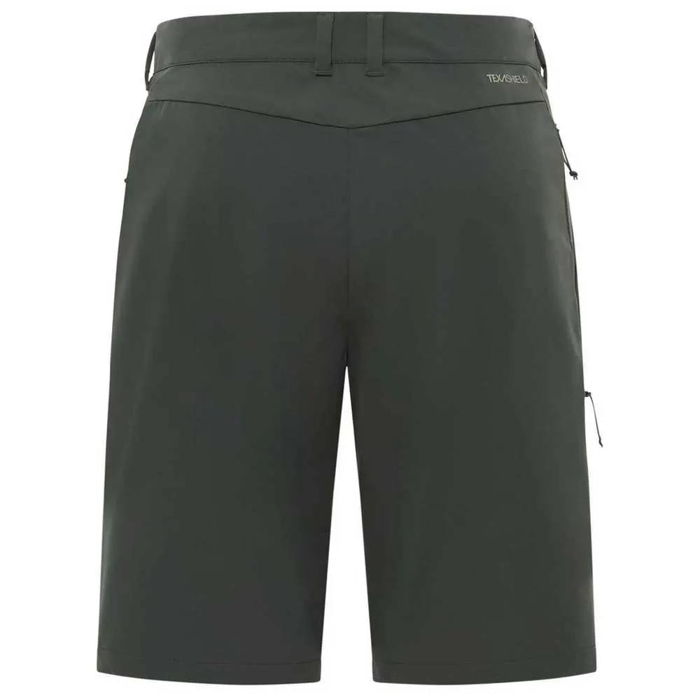 Jack Wolfskin Шорты Pico Trail