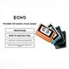FiiO SnowSky ECHO MP3 Player Bluetooth Lossless Decoder Dual Output Support DSD WAV Hi-Res Audio Player Portable MP3 Custom Gift