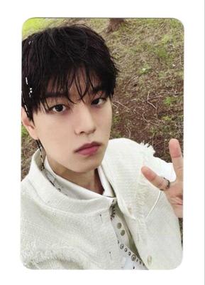 Hobbies e criatividade – Colecionáveis para fãs