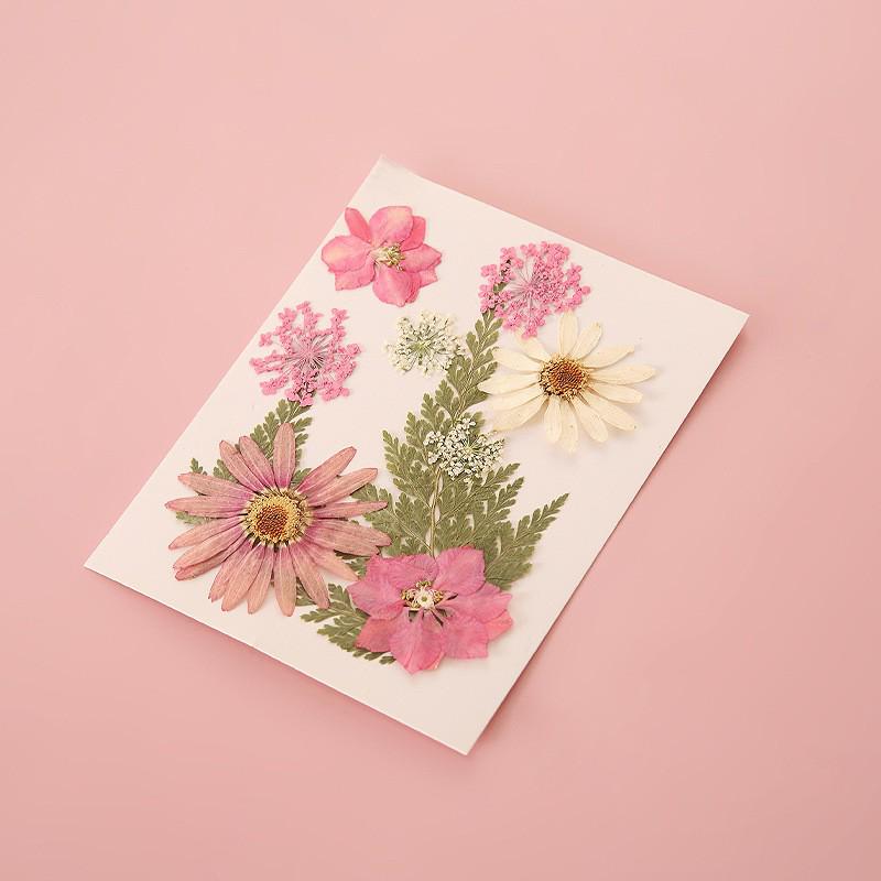 Handmade Pressed Flower Bookmark DIY Kit: Real Dried Flowers, Creative Craft, Unique Plant Specimen, Perfect Small Gift