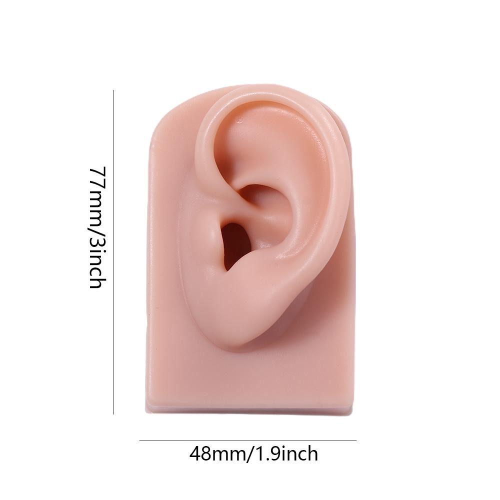 Tools Body for Hearing Teaching Simulation Ear Jewelry Earrings Display Silicone Ear Model Fake Ear