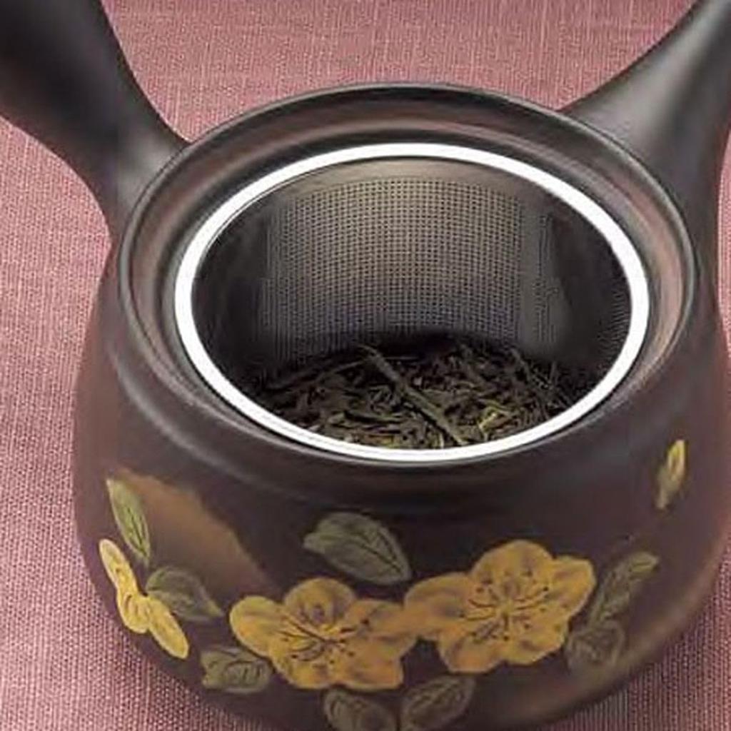 New Tea Tokoname Ware Premium Teapot with Made in Japan J-kitchens Pot, Strainer, 370cc,