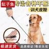 Cães – Colares e correias para cães