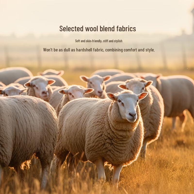 

Мужская короткая куртка K-Boxing из смесовой шерсти на осень/зиму 2XL