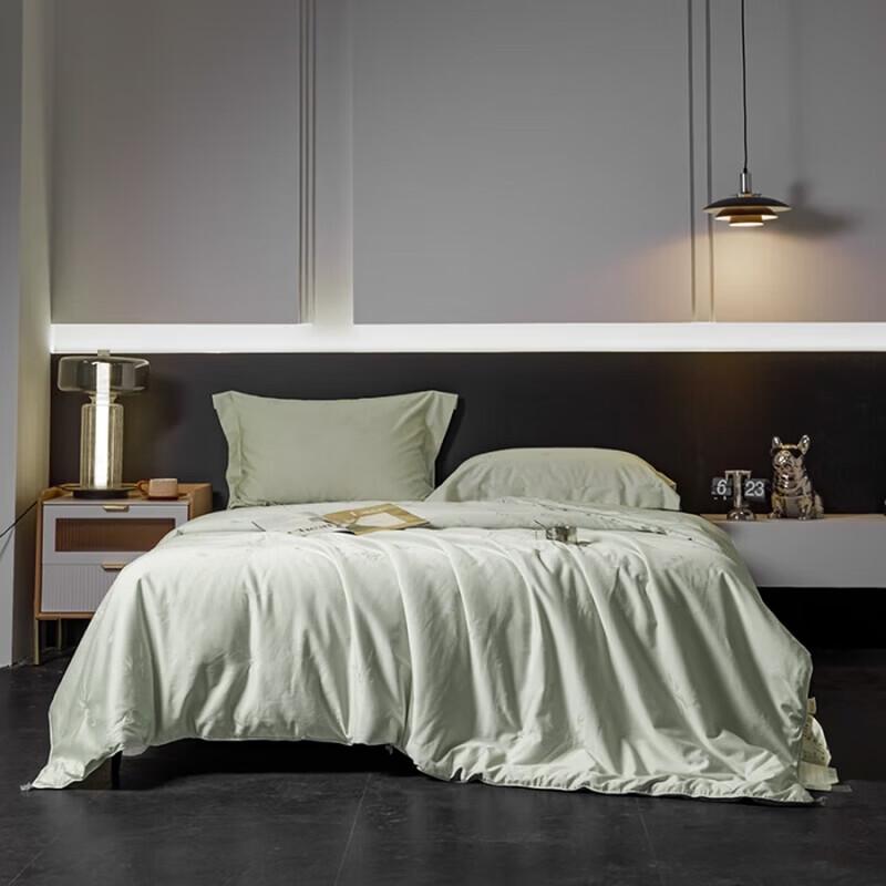 Donner Home Textiles All-Season Mulberry Silk Quilt