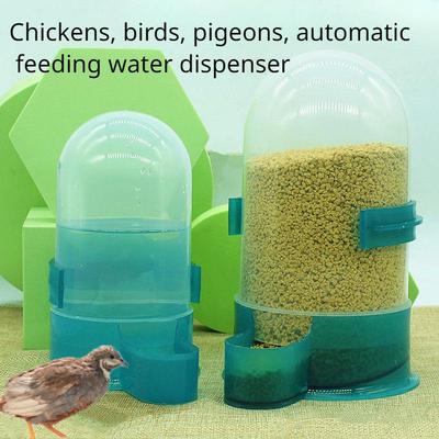 Comedero para pollos Rutin, fuente para bebidas, pájaros para mascotas, codorniz, cuenco de alimentación, alimentador automático para mascotas