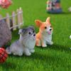 12pcs Figurines Miniatures Cute Simulation Dog Pomeranian Micro Landscape Ornaments Home Decoration Room Decor Desk Accessories