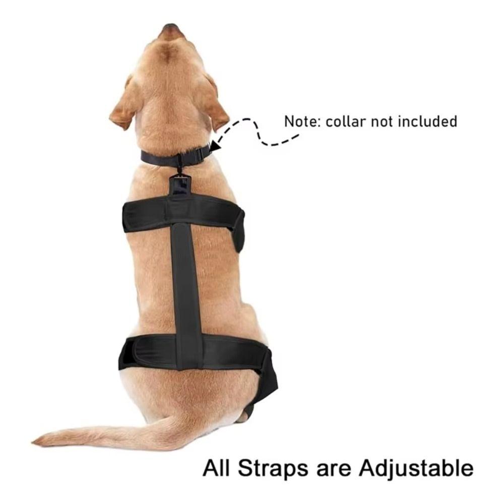 Waterproof Pet Paw Protectors Non-Slip Outdoor Dog Shoes Universal Dog Suspender Boots  All Seasons