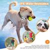 Waterproof Rechargeable Dog Training & Bark Control Collar with Remote