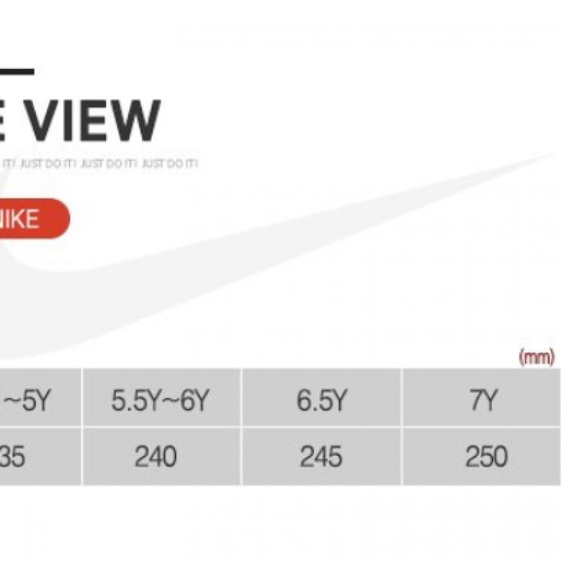 Nike Dunk Low Gs Dh9765 100