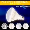 Esei "3-Year Warranty" LED Bulb, 200W Equivalent, Beam Bulb, Beam Lamp, 20W Power Consumption, E26 Base, PAR38 Reflector, Diffused Beam Light, IP65 Wa