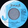 7inch Record PINCHERS  Its A Small World NONE Jammys Records 1997 Jamaica Reggae Ska  Dub Used