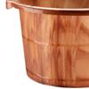 Foot Bath Basin Soak Tub Household Gift Massage Soaking Barrel for