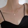 S925 Silver Pendant Necklace with Single Shining Diamond - Women's Minimalist Style