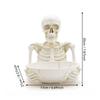 Skull Storage Bowl Tabletop Skeleton Sundries Holder Creepy for Desk