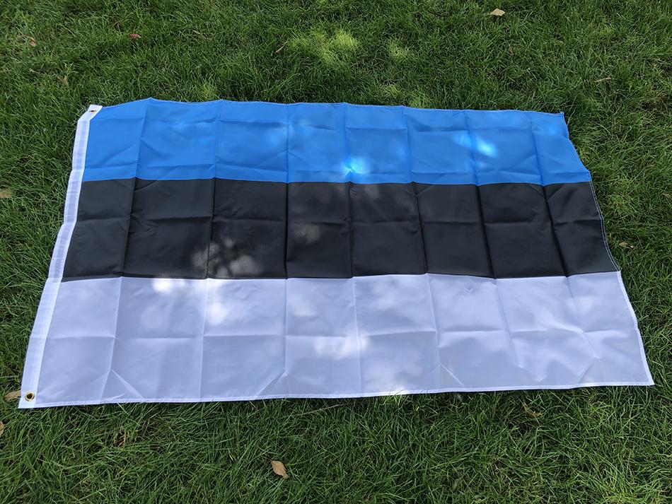 SKY FLAG Bandiera dell'Estonia Stendardo 90*150cm Poliestere di Alta Qualità Bandiera Nazionale dell'Estonia da Appendere Per Decorazione Domestica e Attività