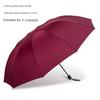 Umbrella Large Reinforced Thickened Strong Storm-Resistant Umbrella Female Dual-Use Sun Umbrella Sun Protection UV Protection