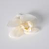 5pcs Simulated Film Butterfly Orchid Flower Head Petals Flower Accessories Headwear Hairclip Handmade Wedding Gift Decoration