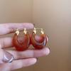 Maillard coffee color geometric earrings 2025 light luxury high-end temperament stud earrings niche retro style earrings