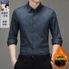 Wool + Mulberry Silk Long-sleeved Shirt New Men's Long-sleeved Piled Thickened Jacquard Non-ironing Shirt Men's Clothing