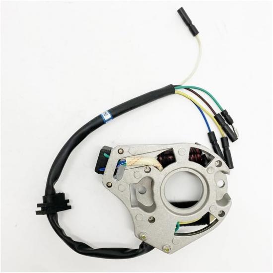 Magneto Stator Plate for Kazuma Meerkat Falcon Redcat Wombat 50cc 90cc 110cc ATV Quad WM50-312-012