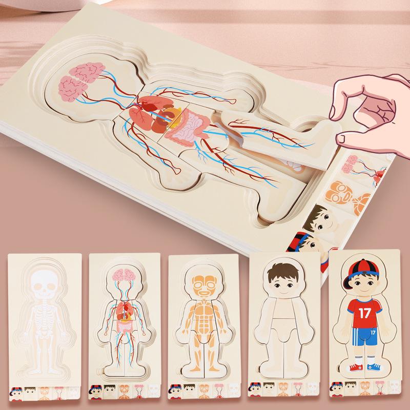 Wooden Multi-layer Body Structure Puzzle for Kids Ages 3-10 - Educational Toy for Early Learning
