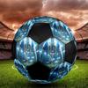 Messi Size 5 Soccer Ball, Machine-Stitched PVC, Durable & High Bounce, All Ages Fit, Fan Merchandise, Matches & Outdoor Use.