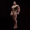 Fremego 1/12 Scale Male Action Figure 6-Inch Flexible Muscular Comic Character Body Series