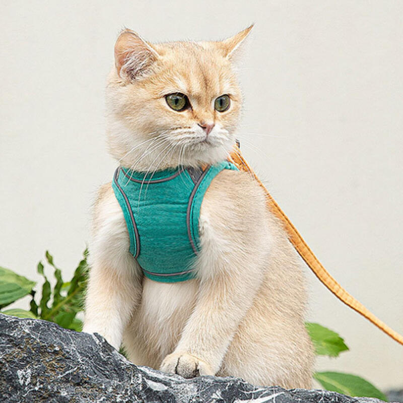 Pet Reflective Harness + Leash (L) (Green + Orange)