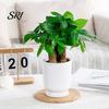 Breathable Plant Pot Self Watering Plastic Flower with Water Reservoir Easy Care Indoor Planter Wick Ropes Modern for Home Office Desktop Low