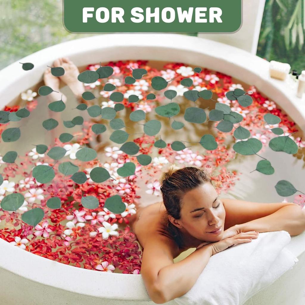 300PCS+ Real Eucalyptus Leaves for Shower - Sukh Dried Eucalyptus Leaves for Shower Fresh Shower Plant Eucalipto Para Decoracion Preserved Flower