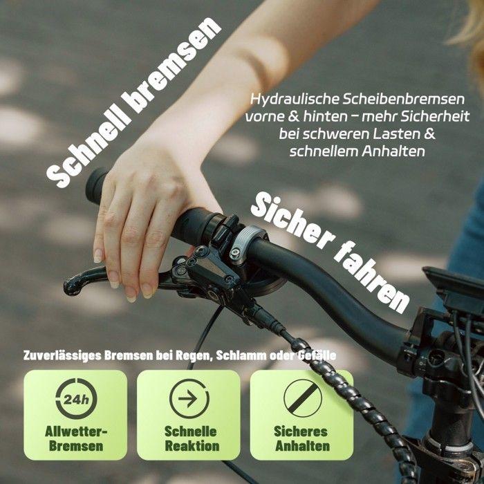 Fafrees FF20 CUV - Vélo cargo électrique - 250 W - 48 V - 24 Ah - Moyeu 20 pouces - Vitesse maximale 25 km/h - Gris