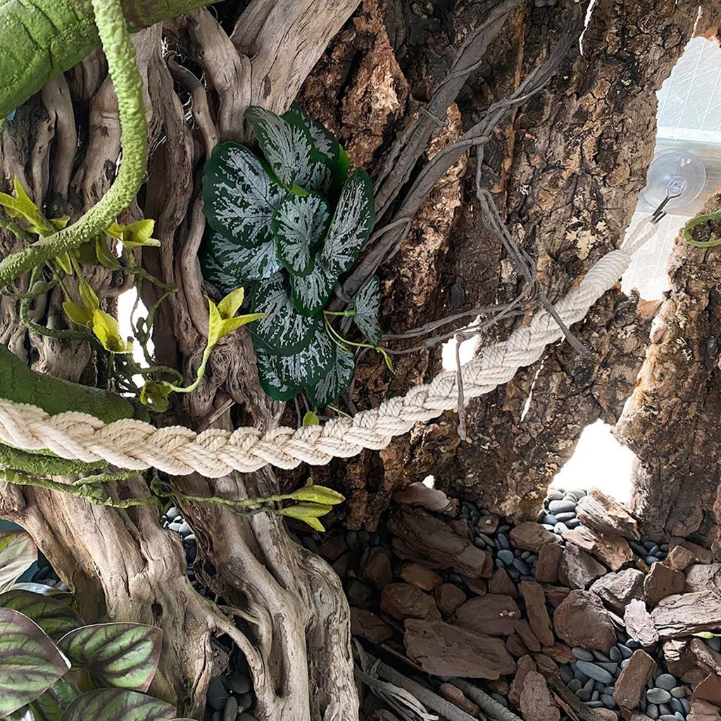 2pack Climbing Rope Snake Climbing Equipment Tree Frog Habitat Enhancement for Exotic Pet Enrichment