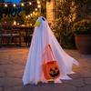 Halloween Festive Atmosphere Goose Outfit, Ghost Porch Clothes with Pumpkin Bag for 23" Ornament Statue, Party Accessory Outdoor Patio Lawn Yard Decor