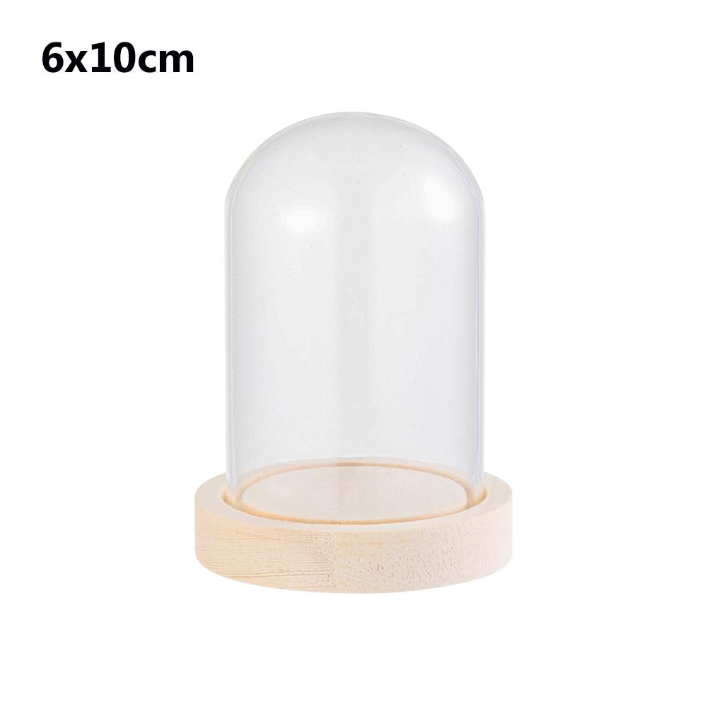 Terrarium Bottle with Wooden Base Dust Cover Glass Cloche Jar Display Stand Cover Display Box Immortal Flower Storage Bottle