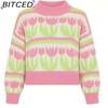 BITCED Women's Jacquard Spring/Fall Pullover Sweater