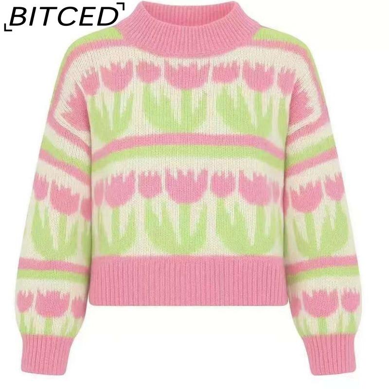 BITCED Women's Jacquard Spring/Fall Pullover Sweater