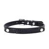 Crocodile Pet Collars Cat Dog Necklace with 10mm Belt Name Personalized Collar Fit for 10mm DIY Slide Letters Charms