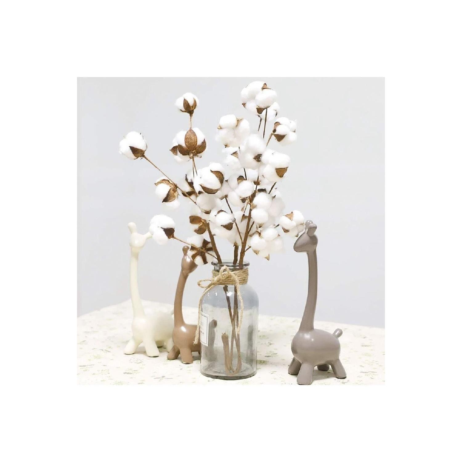 

Natural White Cotton Branches 40 Cm 10pcs білий